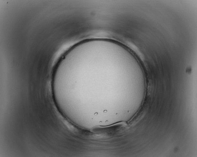 X0000100351464200807031802