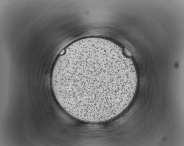 X0000100351465200807031802