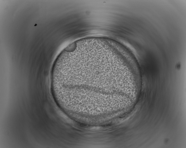 X0000100351467200807031802