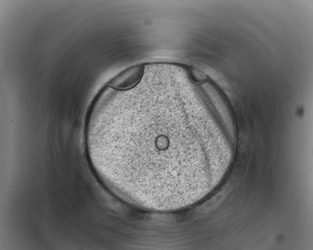 X0000100351469200807031802