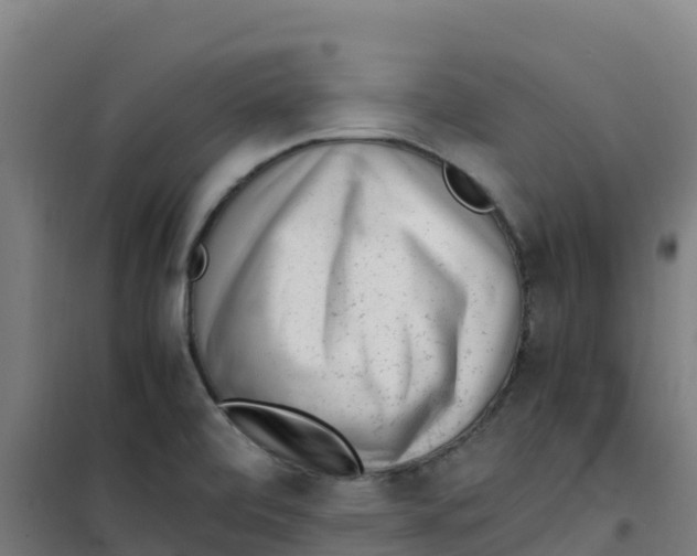 X0000100351472200807031802