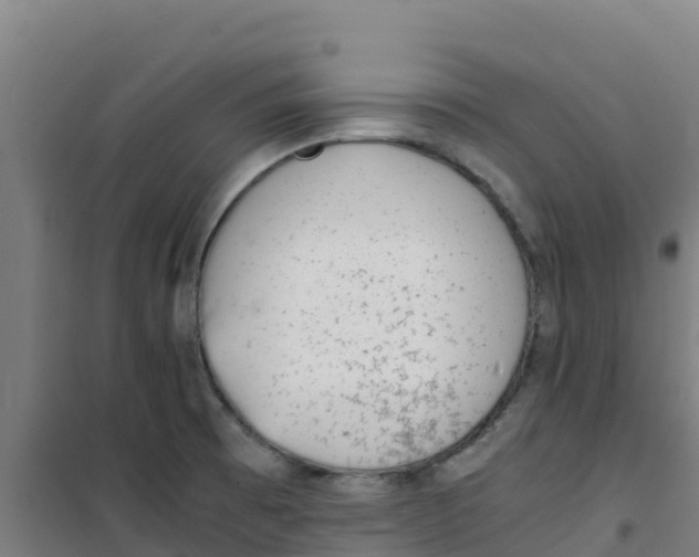 X0000100351473200807031802