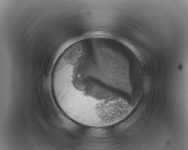 X0000100351474200807031802