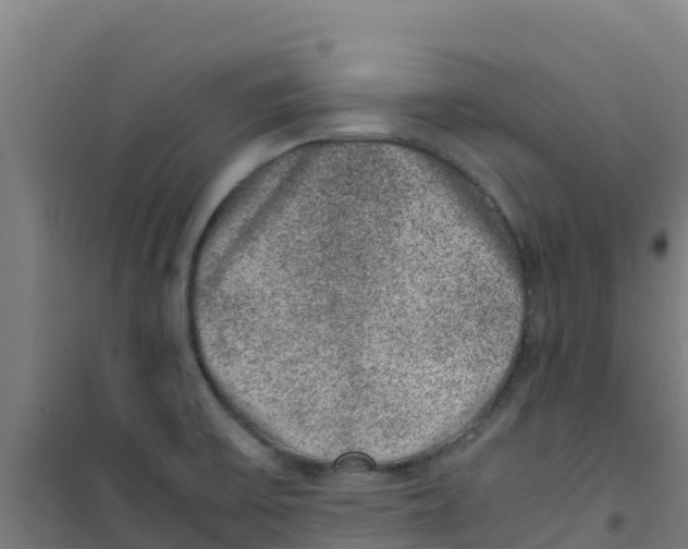 X0000100351475200807031802