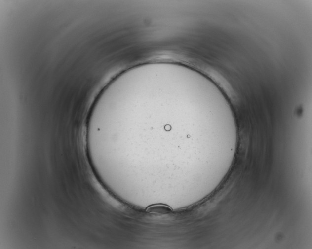 X0000100351476200807031802