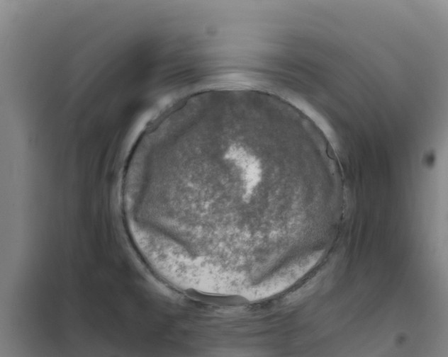 X0000100351477200807031802