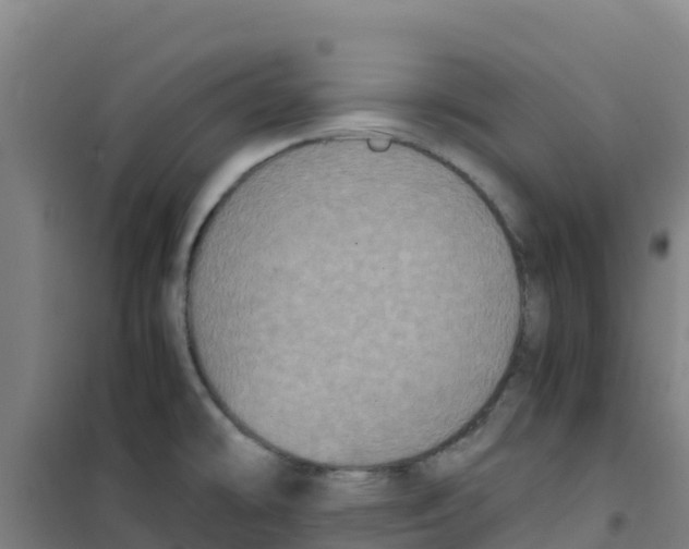 X0000100351478200807031802