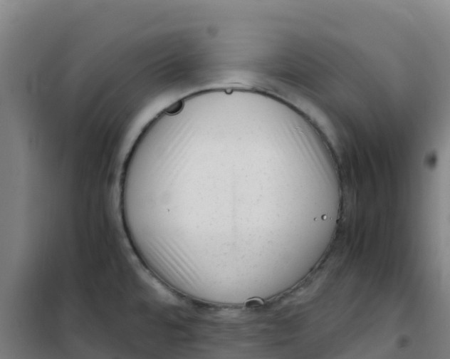 X0000100351480200807031802