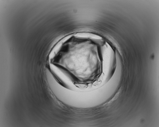 X0000100351481200807031802