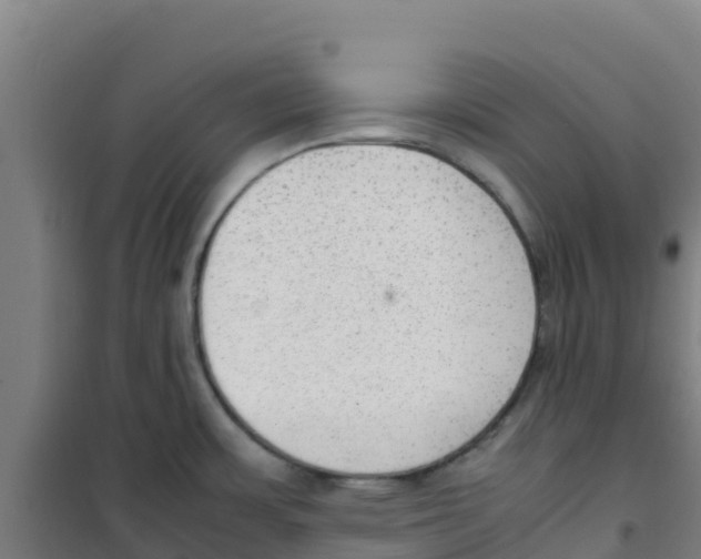 X0000100351483200807031802