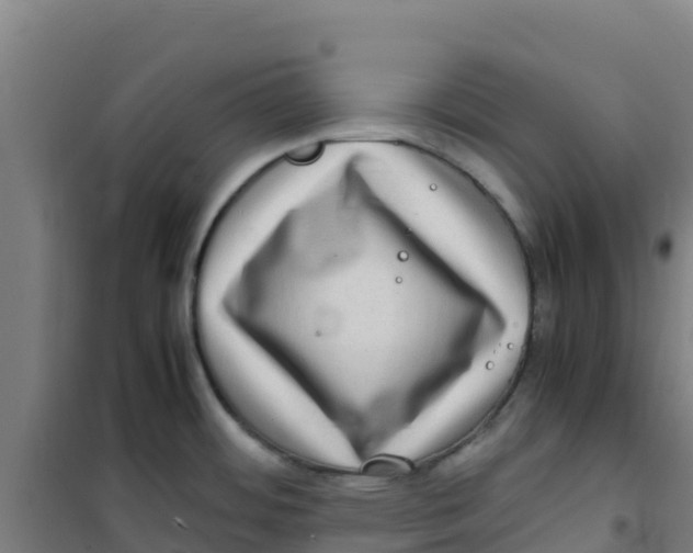 X0000100351484200807031802