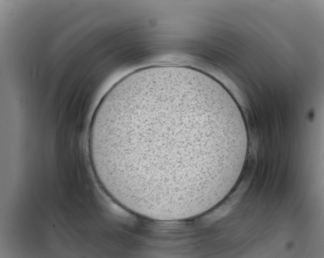 X0000100351486200807031802