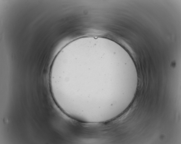 X0000100351487200807031802