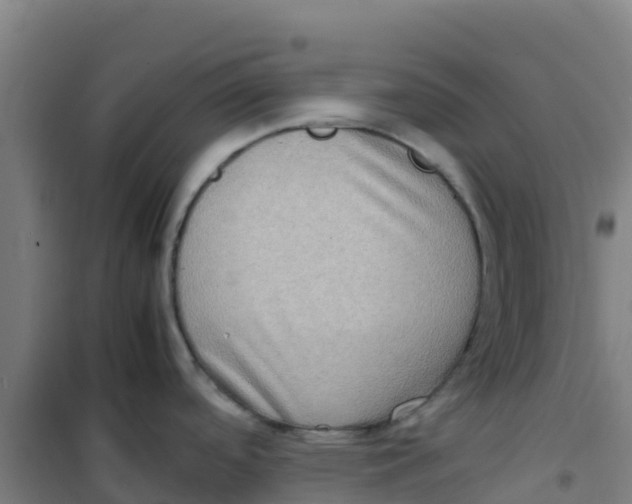 X0000100351488200807031802