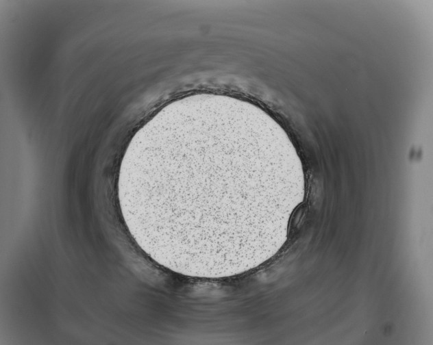 X0000100351489200807031801