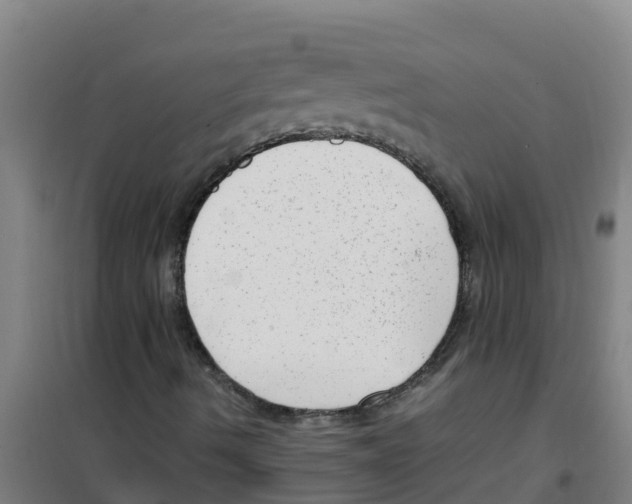 X0000100351490200807031801