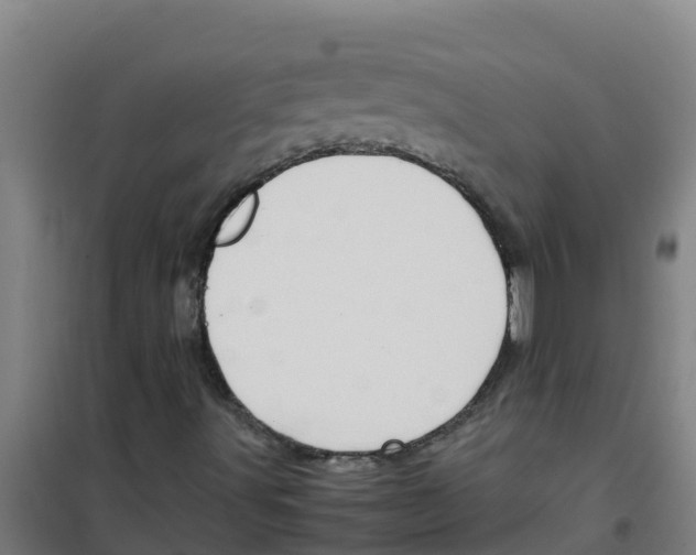 X0000100351491200807031801