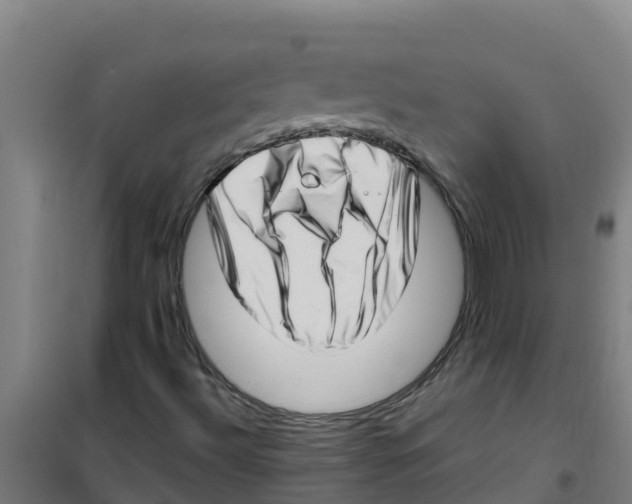 X0000100351492200807031801