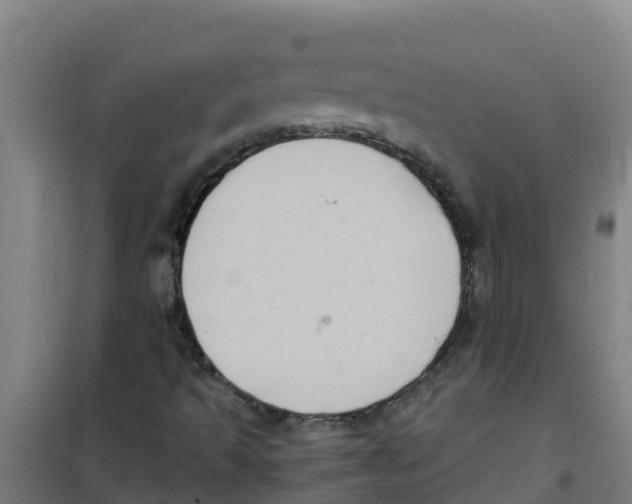 X0000100351493200807031801