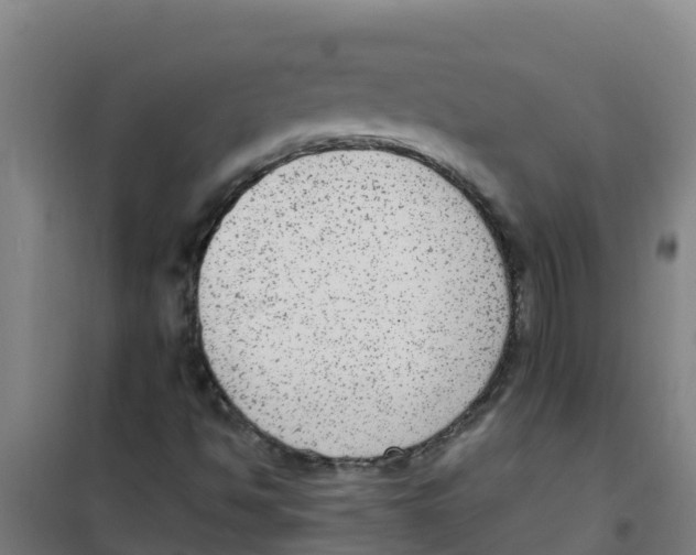 X0000100351494200807031801