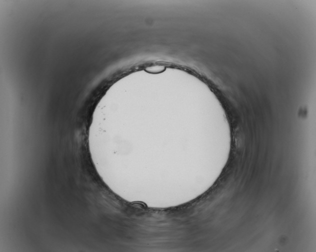 X0000100351495200807031801