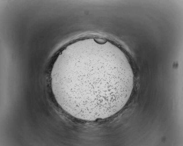 X0000100351496200807031801