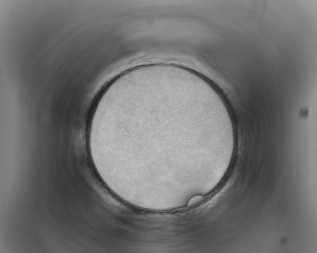 X0000100351498200807031801