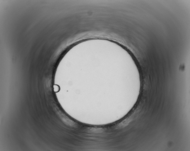 X0000100351499200807031801