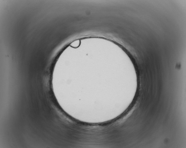 X0000100351502200807031801