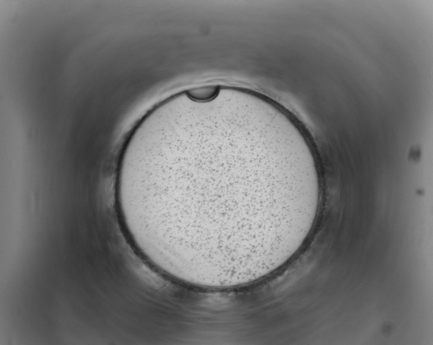 X0000100351504200807031801