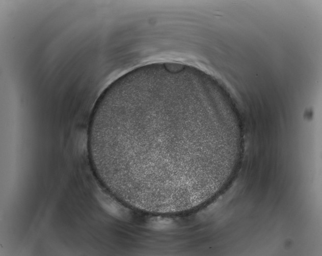 X0000100351505200807031801