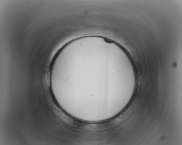 X0000100351510200807031801