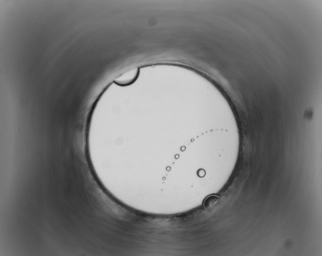 X0000100351512200807031801