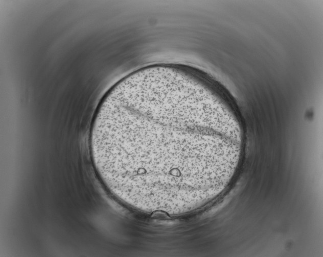 X0000100351513200807031801