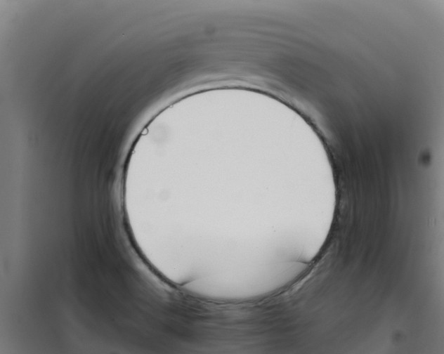 X0000100351516200807031802