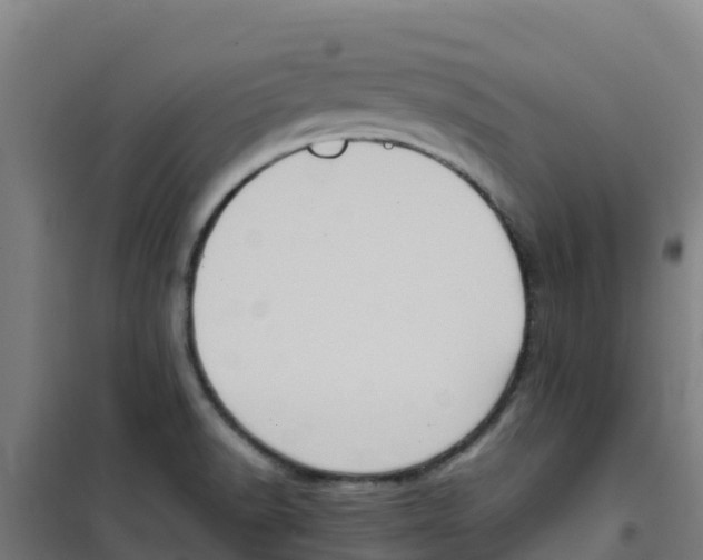 X0000100351518200807031802