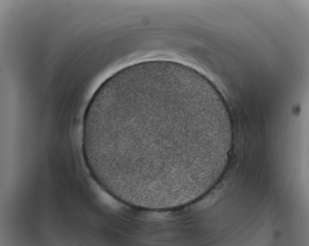 X0000100351519200807031802