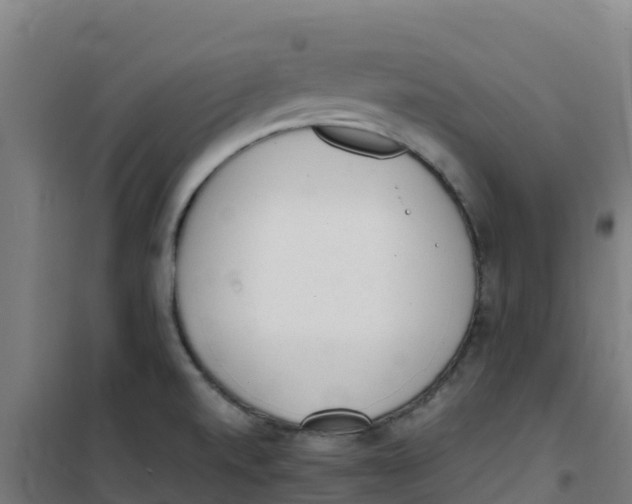 X0000100351520200807031802