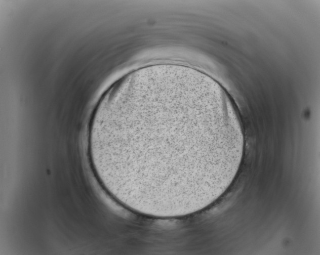 X0000100351523200807031802