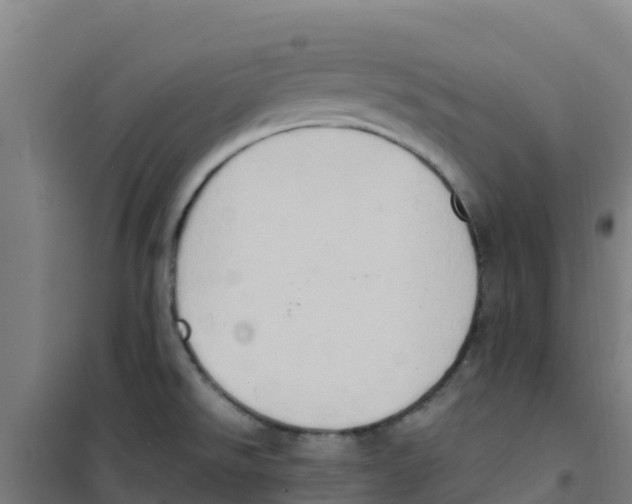 X0000100351526200807031802