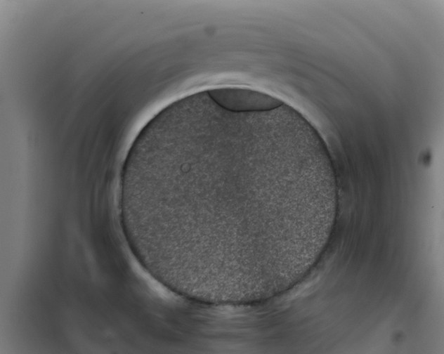 X0000100351527200807031802