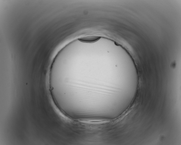 X0000100351528200807031802