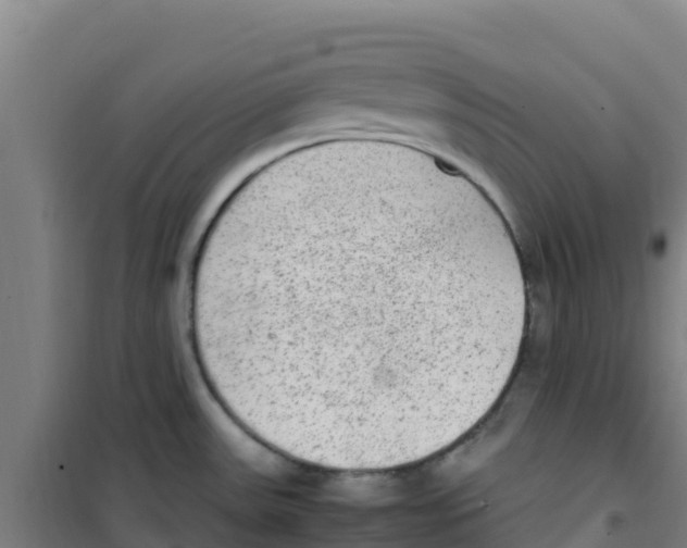 X0000100351531200807031802