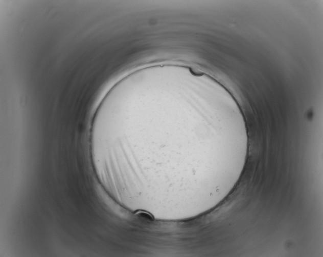 X0000100351532200807031802