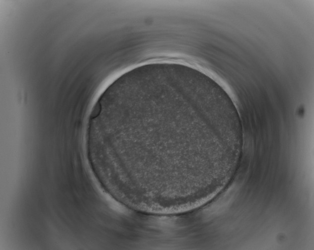 X0000100351533200807031802