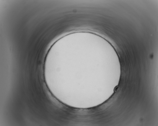 X0000100351534200807031802