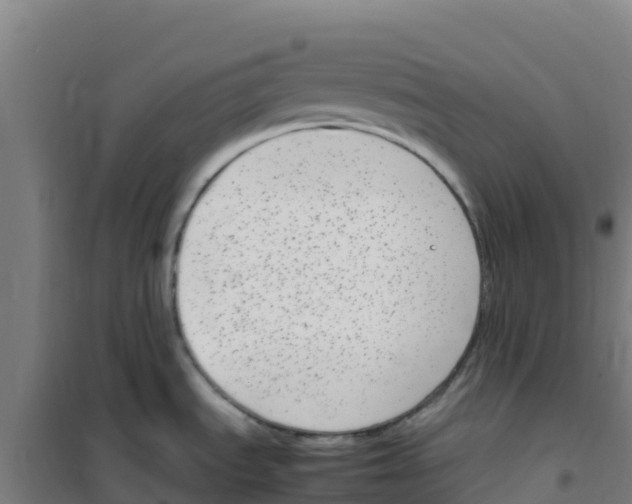 X0000100351535200807031802