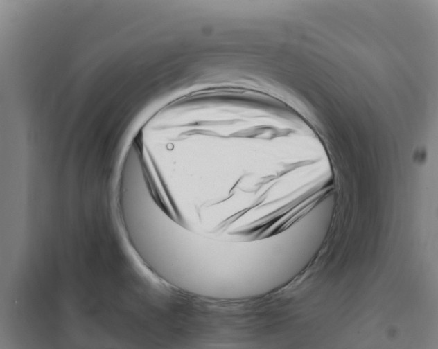 X0000100351536200807031802