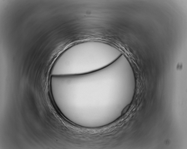 X0000100360002200806060833