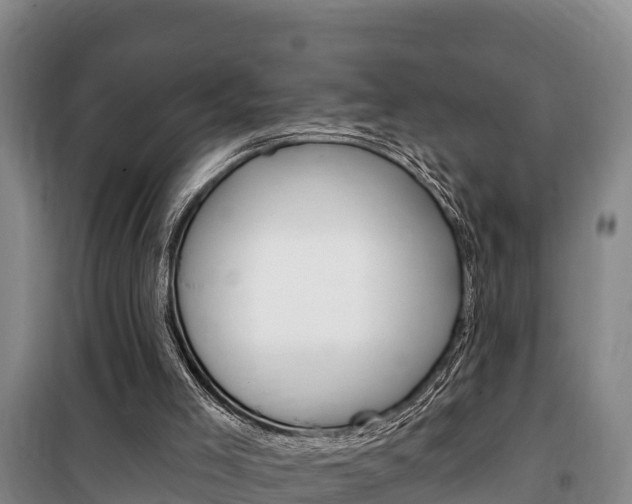 X0000100360005200806060833